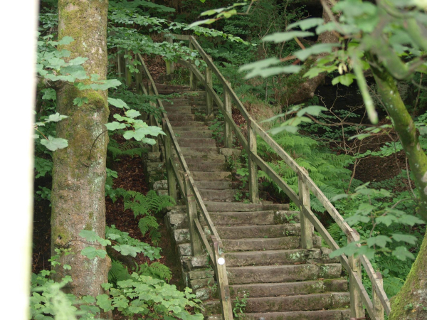 Jacobs Ladder
14-Leisure-01-Parks and Gardens-001-Nuttall Park General
Keywords: 2016