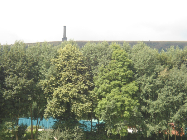 Peel Tower from Nuttall Park
14-Leisure-01-Parks and Gardens-001-Nuttall Park General
Keywords: 2016
