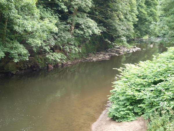 River Irwell & Cormar Carpets 
to be catalogued
Keywords: 2016