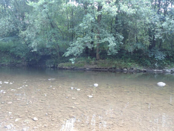 River Irwell Nuttall Park
14-Leisure-01-Parks and Gardens-001-Nuttall Park General
Keywords: 2016