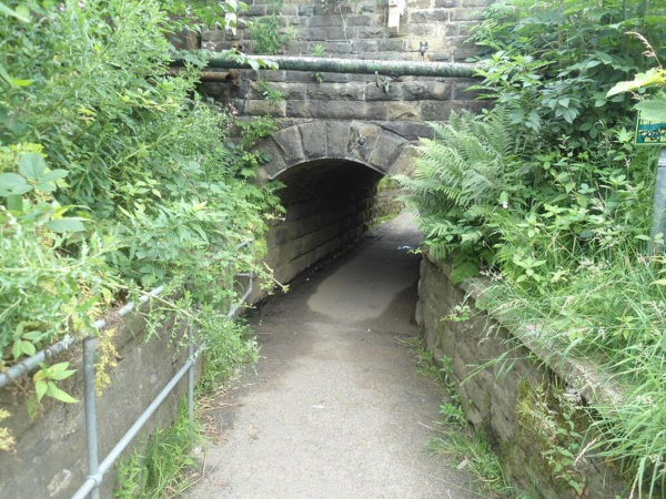 Tunnel under Railway Line Nuttall Park
14-Leisure-01-Parks and Gardens-001-Nuttall Park General
Keywords: 2016