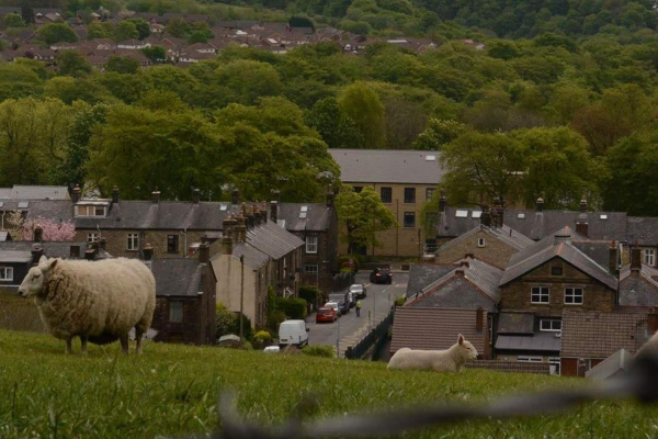 Water Fall Park Summer 1 
to be catalogued
Keywords: 2016