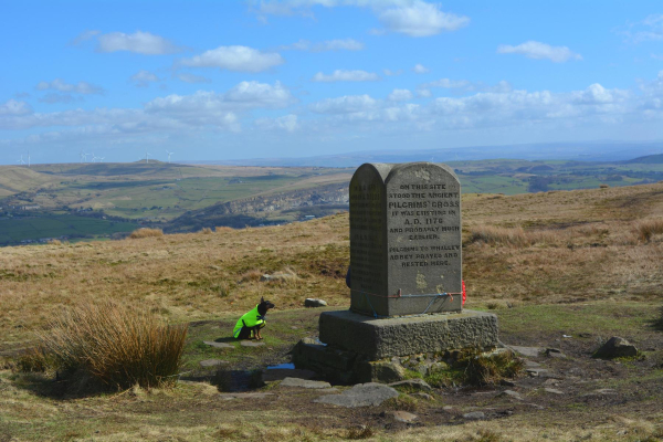 Pilgrims Cross, Holcombe Hill 
18-Agriculture and the Natural Environment-03-Topography and Landscapes-001-Holcombe Hill
Keywords: 2016