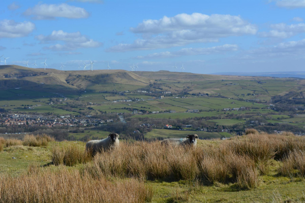Elen Strange stone, Holcombe Moor, March 16  
to be catalogued
Keywords: 2016