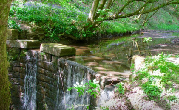 Waterfall and Bluebells at Redisher Woods 
17-Buildings and the Urban Environment-05-Street Scenes-013-Holcombe Brook Area
Keywords: 2016