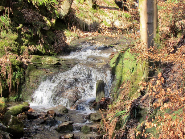 Redisher Woods 
17-Buildings and the Urban Environment-05-Street Scenes-013-Holcombe Brook Area
Keywords: 2017