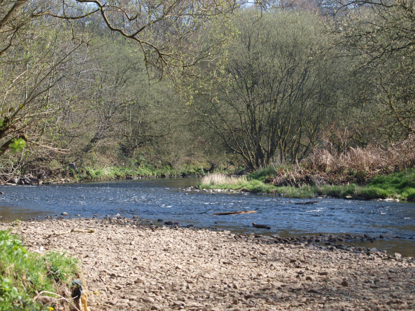 River Irwell Nuttall Park 
14-Leisure-01-Parks and Gardens-001-Nuttall Park General
Keywords: 2017