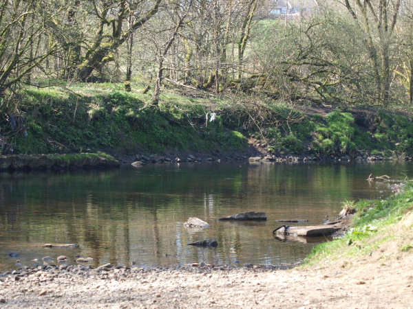 River Irwell Nuttall Park 
14-Leisure-01-Parks and Gardens-001-Nuttall Park General
Keywords: 2017