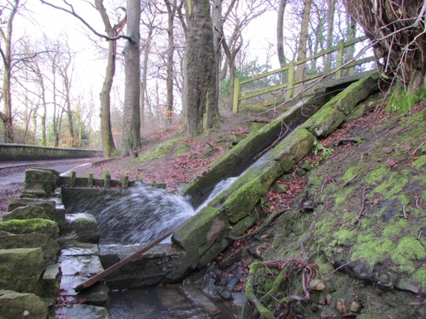 Nuttall Park
14-Leisure-01-Parks and Gardens-001-Nuttall Park General
Keywords: 2018