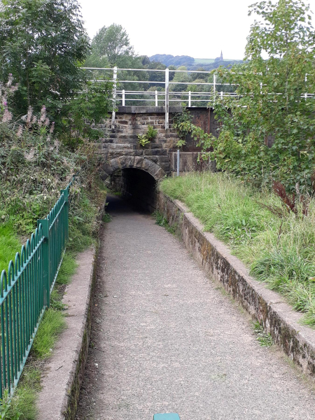 Tunnel leading from Nuttall Park to Cormar Carpets
14-Leisure-01-Parks and Gardens-001-Nuttall Park General
Keywords: 2018