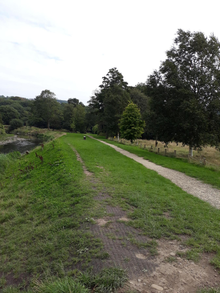 Flood defence growing over nicely
14-Leisure-01-Parks and Gardens-001-Nuttall Park General
Keywords: 2018