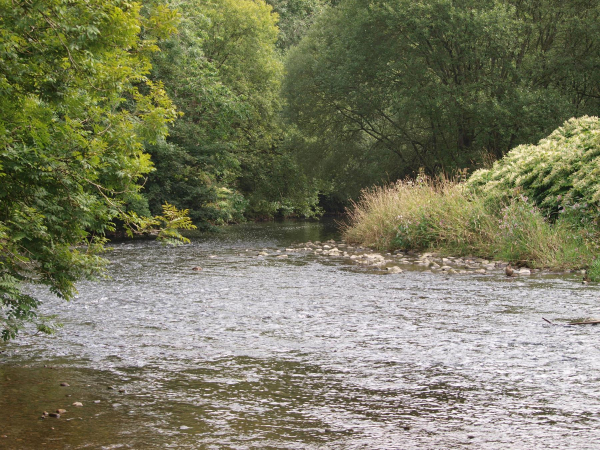 River Irwell Nuttall Park
14-Leisure-01-Parks and Gardens-001-Nuttall Park General
Keywords: 2018