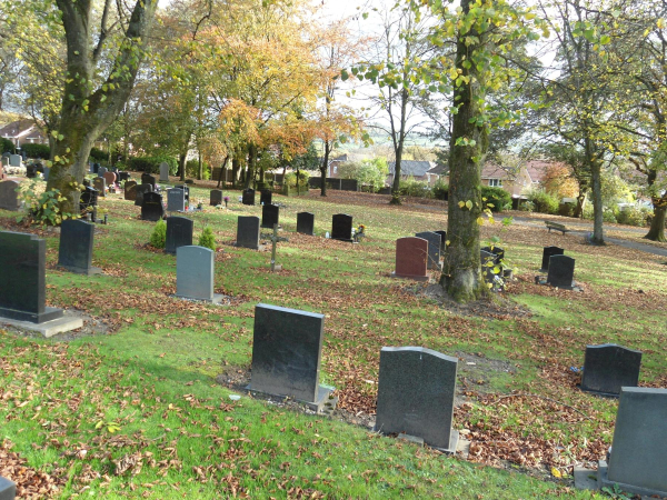 Ramsbottom Cemetery
17-Buildings and the Urban Environment-05-Street Scenes-007-Cemetery Road
Keywords: 2018