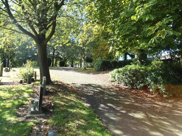Path leading out of cemetery
17-Buildings and the Urban Environment-05-Street Scenes-007-Cemetery Road
Keywords: 2018