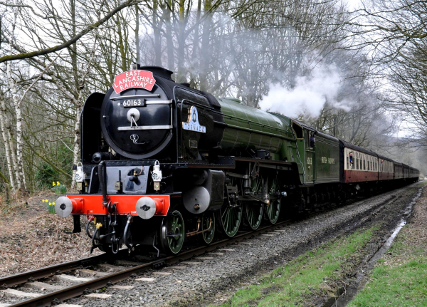 Winner -The TORNADO on the East Lancs Railway just after leaving Summerseat Station 
16-Transport-03-Trains and Railways-000-General
Keywords: 2018