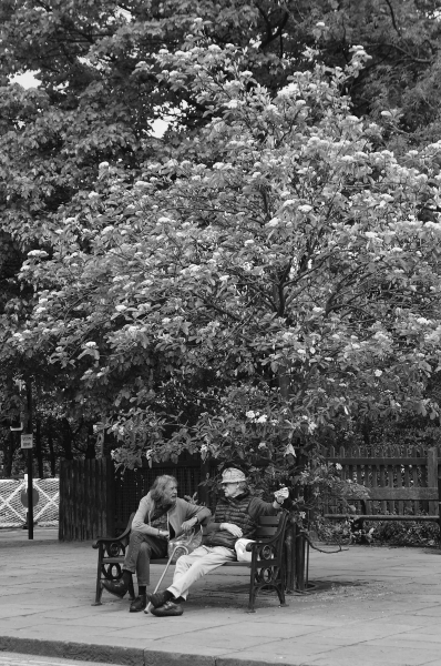 Relaxing on Railway Street 
17-Buildings and the Urban Environment-05-Street Scenes-022-Railway Street
Keywords: 2018