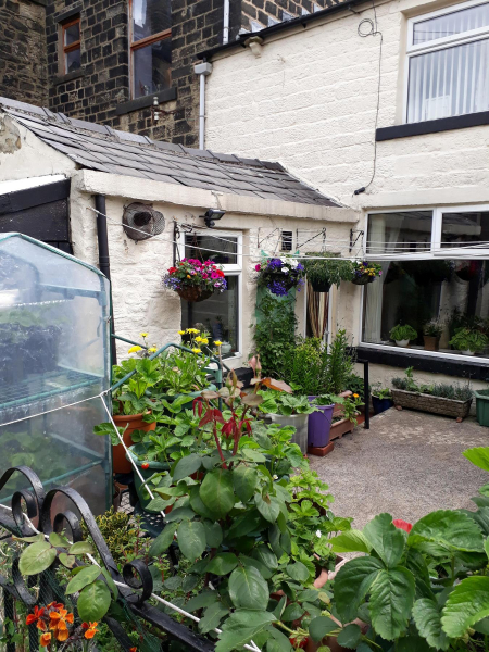 Garden in a Back Yard 
17-Buildings and the Urban Environment-05-Street Scenes-000-General
Keywords: 2018