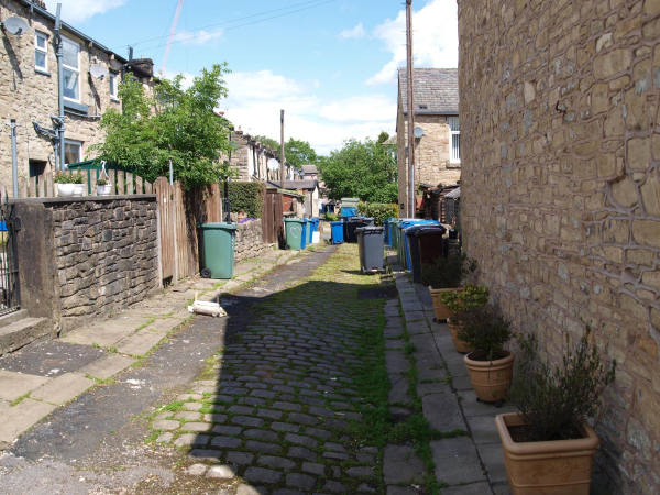 Bins and Floral Display back street Crow Lane 
17-Buildings and the Urban Environment-05-Street Scenes-009-Crow Lane Area
Keywords: 2019