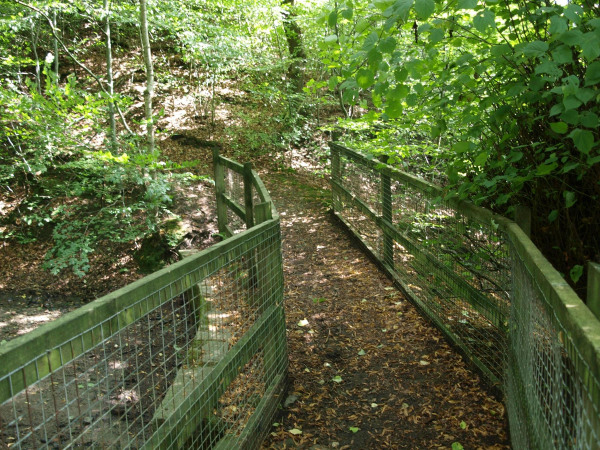 Bridge at top of Water Fall  in Nuttall Park
17-Buildings and the Urban Environment-05-Street Scenes-019-Nuttall area
Keywords: 2019