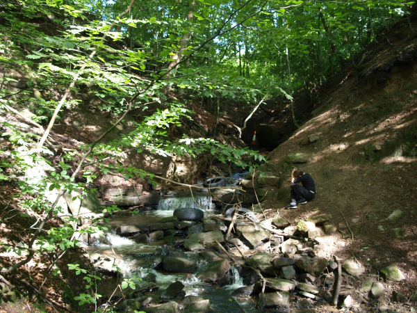 Who put them in there stream leading to water fall 
17-Buildings and the Urban Environment-05-Street Scenes-019-Nuttall area
Keywords: 2019