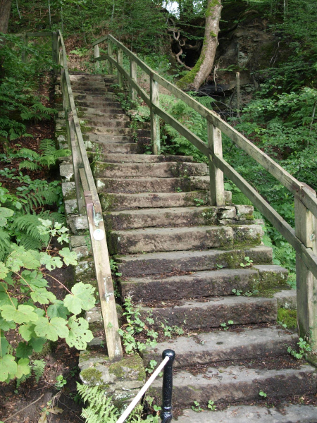 Jacob's Ladder
14-Leisure-01-Parks and Gardens-001-Nuttall Park General
Keywords: 2019