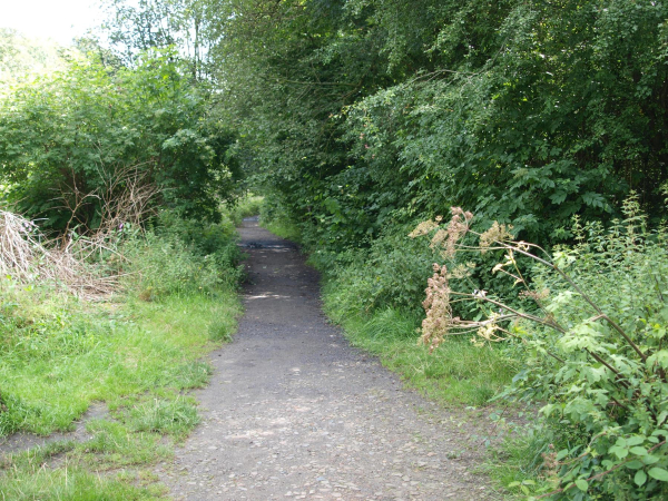 Path from Park leading to Nuttall Lane
17-Buildings and the Urban Environment-05-Street Scenes-019-Nuttall area
Keywords: 2019