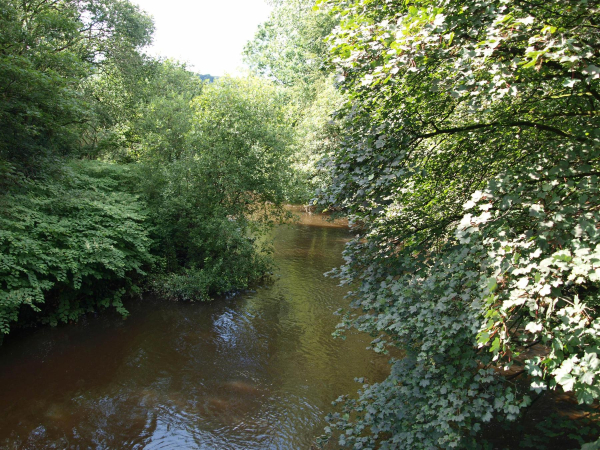 River Irwell Nuttall Park
14-Leisure-01-Parks and Gardens-001-Nuttall Park General
Keywords: 2019