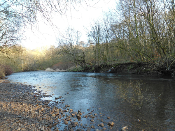 River Irwell Nuttall Park
14-Leisure-01-Parks and Gardens-001-Nuttall Park General
Keywords: 2019