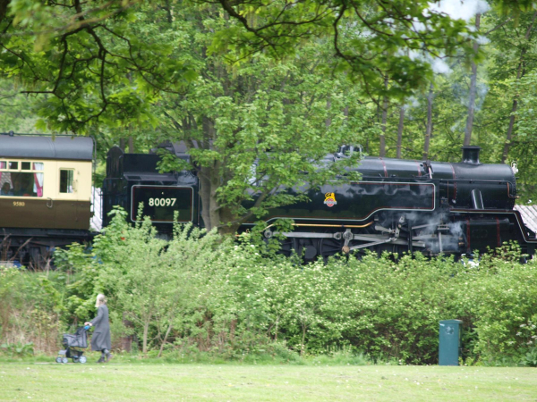 Steam Train Nuttall Park 
14-Leisure-01-Parks and Gardens-001-Nuttall Park General
Keywords: 2019