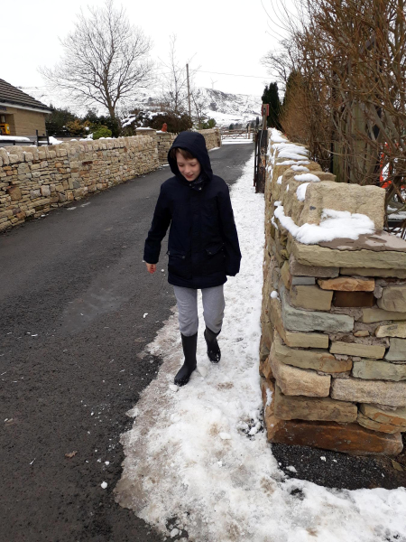 Bleakholt Animal Sanctuary in snow
19-Animals and Plants-01-General-001-Bleakholt Animal Sanctuary
Keywords: 2019