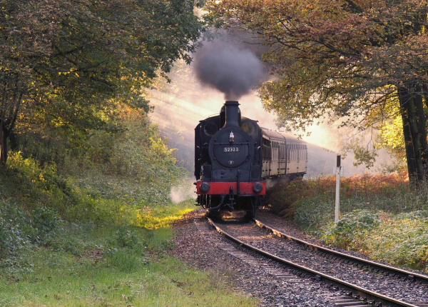 Train Through The Trees Approaching Summerseat ? Taken at the Wood Road crossing in October.
16-Transport-03-Trains and Railways-000-General
Keywords: 2019