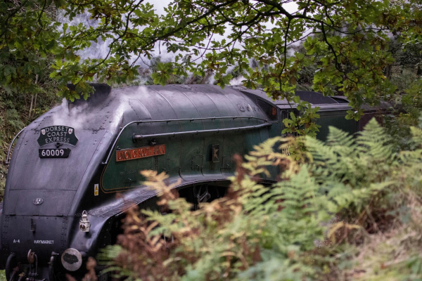 Union of South Africa leaving Summerseat ? Taken on the approach to the tunnel in Summerseat ? taken in October. 
17-Buildings and the Urban Environment-05-Street Scenes-028-Summerseat Area
Keywords: 2019