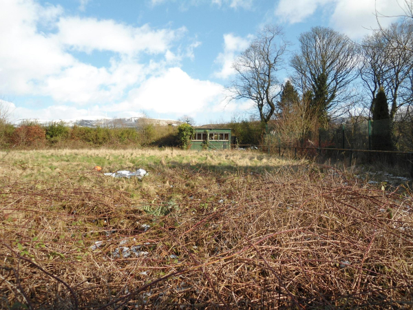 Run down Bowling Green by the Civic Hall, used to be Grants 
07-Government and Politics-02-Government and Public Buildings-001-Civic Hall
Keywords: 2020