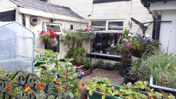 Back Yard Bolton Road West
17-Buildings and the Urban Environment-05-Street Scenes-002-Bolton Road West
Keywords: 2020