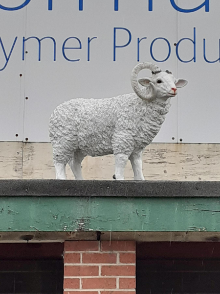 The RAM at Ramsbottom Cricket Club
14-Leisure-02-Sport and Games-006-Cricket
Keywords: 2020