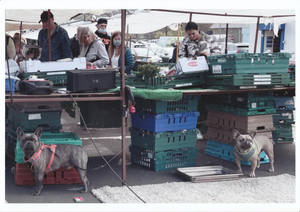 Ramsbottom Market Fruit stall with dogs
14-Leisure-04-Events-006-Markets
Keywords: 2021