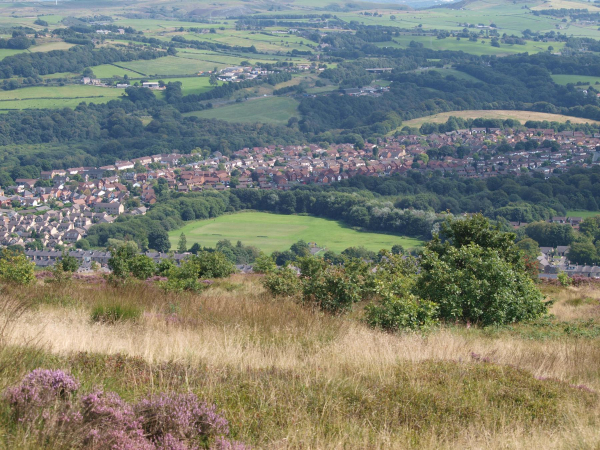 Top Park and Whittingham Drive Estate  from Holcombe Hill
18-Agriculture and the Natural Environment-03-Topography and Landscapes-001-Holcombe Hill
Keywords: 2021