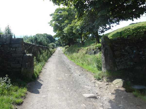 Old Gate Posts Bottom Road  
18-Agriculture and the Natural Environment-03-Topography and Landscapes-001-Holcombe Hill
Keywords: 2021