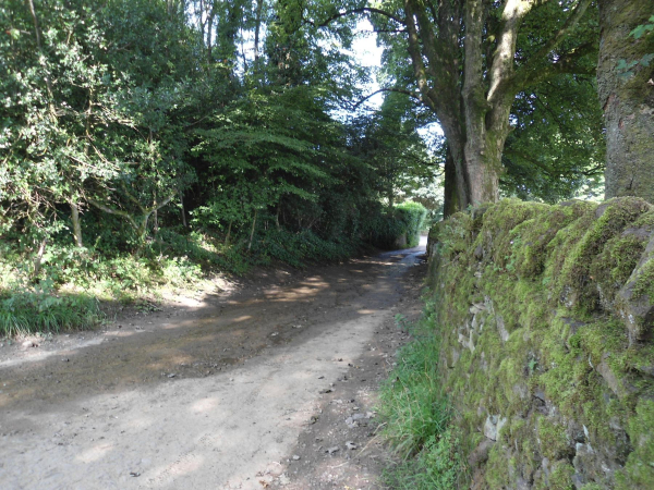 Moorbottom Road leading to Cross Street  
18-Agriculture and the Natural Environment-03-Topography and Landscapes-001-Holcombe Hill
Keywords: 2021