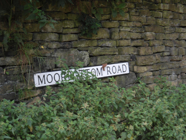 Moorbottom Sign  
18-Agriculture and the Natural Environment-03-Topography and Landscapes-001-Holcombe Hill
Keywords: 2021
