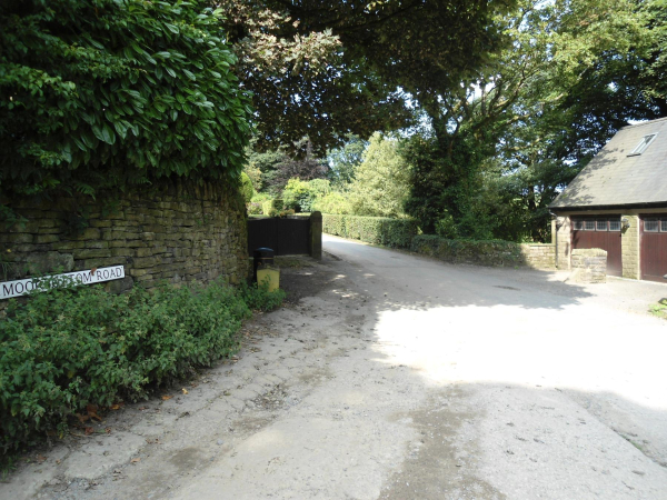 Path from Bottom Holcombe Hill leading to Cross Street  
18-Agriculture and the Natural Environment-03-Topography and Landscapes-001-Holcombe Hill
Keywords: 2021