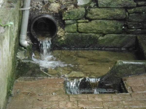 Carrs well been cleaned up  
17-Buildings and the Urban Environment-05-Street Scenes-013-Holcombe Brook Area
Keywords: 2021