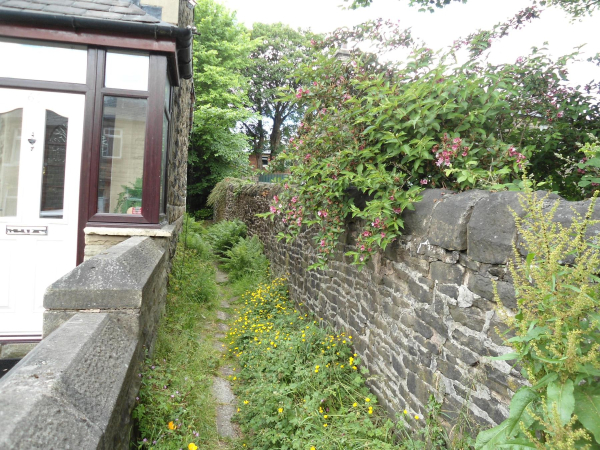Ginnell up side of 66 Bolton Road West leading to Colling Street  
17-Buildings and the Urban Environment-05-Street Scenes-002-Bolton Road West
Keywords: 2021