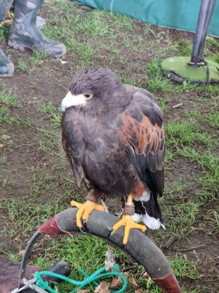 Queen Elizabeth II Platinum Jubilee Celebrations in Nuttall Park organised by Friends of Nuttall Park and Ramsbottom Rotary 
14-Leisure-01-Parks and Gardens-001-Nuttall Park General
Keywords: 2022