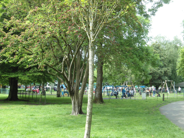 Queen Elizabeth II Platinum Jubilee Celebrations in Nuttall Park organised by Friends of Nuttall Park and Ramsbottom Rotary 
14-Leisure-01-Parks and Gardens-001-Nuttall Park General
Keywords: 2022