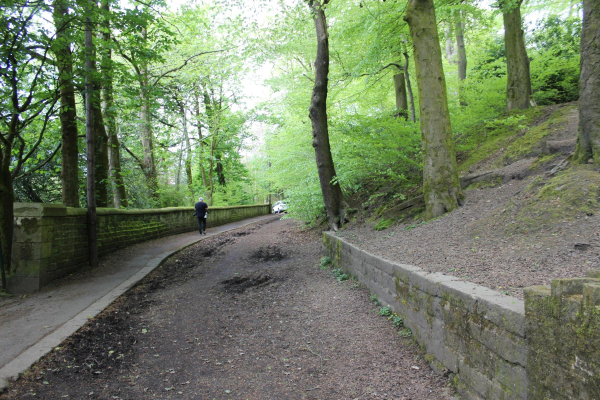 Path leading to Nuttall Park
14-Leisure-01-Parks and Gardens-001-Nuttall Park General
Keywords: 2023