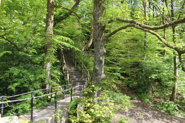 Jacob's Ladder Nuttall Park
14-Leisure-01-Parks and Gardens-001-Nuttall Park General
Keywords: 2023