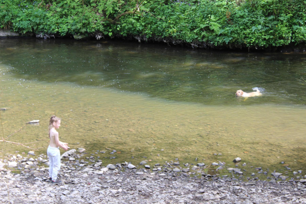 Messing about in River Irwell in Nuttall ParkMessing about in River Irwell
14-Leisure-01-Parks and Gardens-001-Nuttall Park General
Keywords: 2023