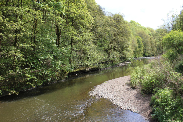 River Irwell from the bridge leading out of Nuttall Par
14-Leisure-01-Parks and Gardens-001-Nuttall Park General
Keywords: 2023
