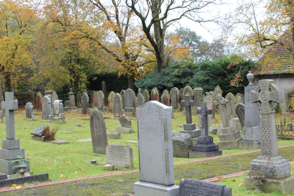 Stubbins Garden for Remembrance 
17-Buildings and the Urban Environment-05-Street Scenes-027-Stubbins Lane and Stubbins area
Keywords: 2023